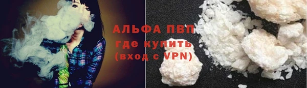 прущие грибы Зеленодольск