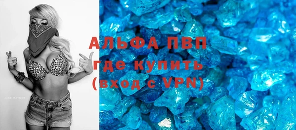 прущие грибы Зеленодольск