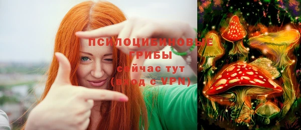 прущие грибы Зеленодольск