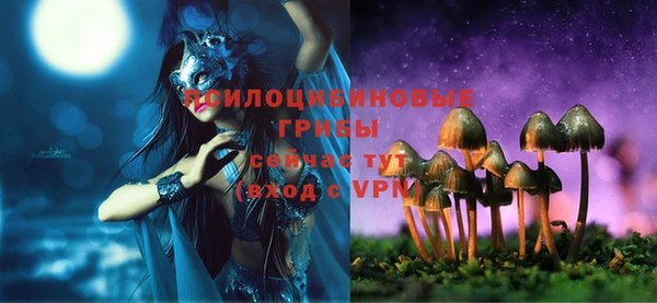 прущие грибы Зеленодольск