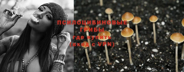 прущие грибы Зеленодольск